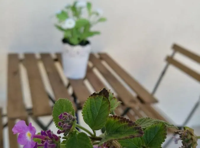 Apartamento A Casa Di Ida