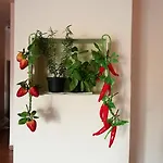 Apartment A Casa Di Ida *