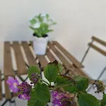アパート A Casa Di Ida