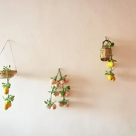 A Casa Di Ida Apartment
