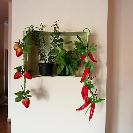 Apartment A Casa Di Ida *