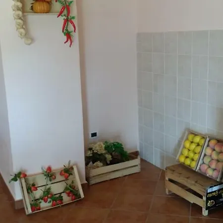 A Casa Di Ida Apartment *